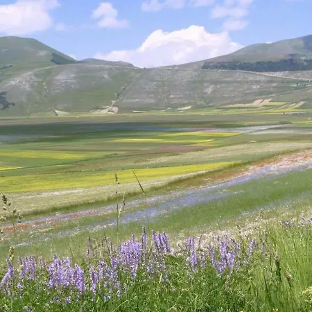 Castrum A Spoleto, Umbria Farm stay Strettura